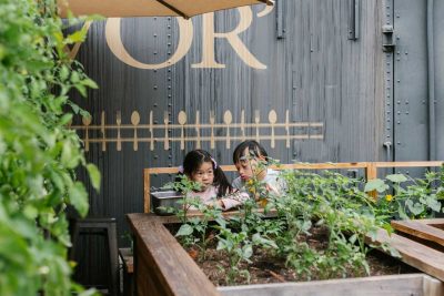 Créer un potager surélevé pour débutants