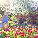 Plantes à fleurs pour un jardin ensoleillé