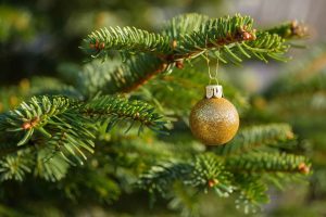 Boules et guirlandes de Noël