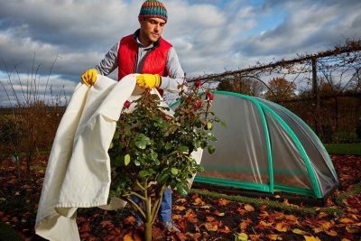 Comment protéger votre jardin en hiver