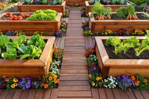 Comment optimiser l’espace d’un potager en carrés ?