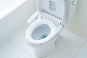 Une alternative écologique au papier toilette