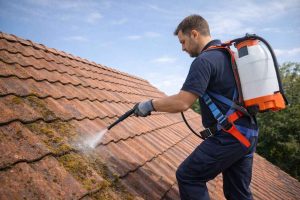 Nettoyage de toiture