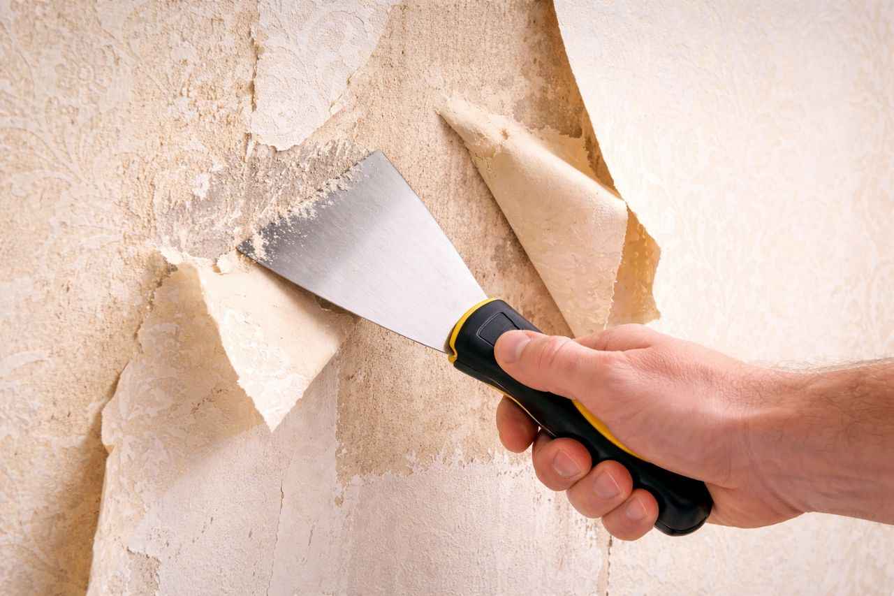 Décollage d'un ancien papier peint avec une spatule lors d'une rénovation de mur avant peinture