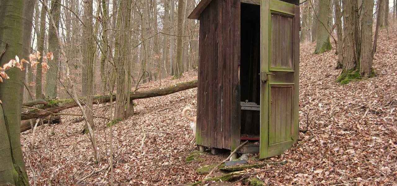 Toilettes sèches