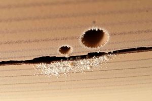 Une poutre en bois présentant de petits trous ronds accompagnés de sciure fine, témoignant d'une infestation active par des mites de bois et larves xylophages